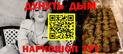 PSILOCYBIN Кунгур