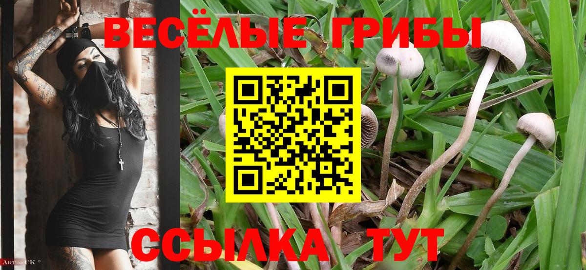 Выкса  Псилоцибиновые грибы GOLDEN TEACHER  Галлюциногенные грибы ЛСД  Вход с VPN 